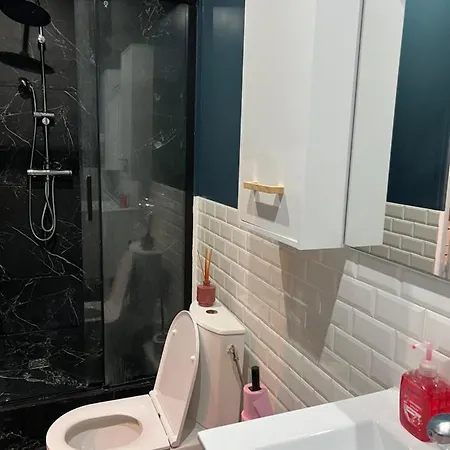 Studio Cosy A Paris.